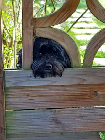 23. Collagen-Challenge: Portraits-Beitrag-Bild