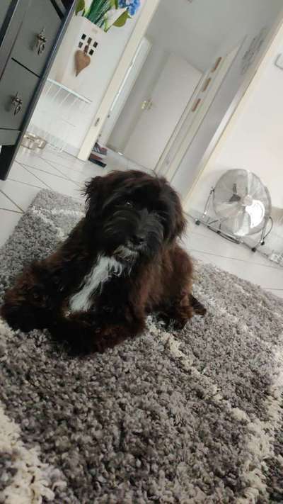 Fotochallange Nummer 5-Beitrag-Bild