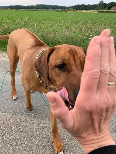 FUN AUFGABEN TOUR-Beitrag-Bild