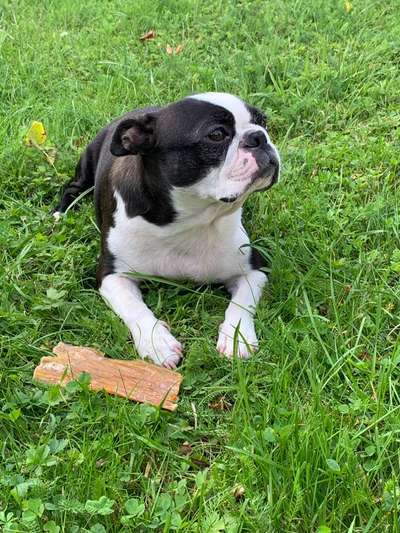 Fotowettbewerb Natur-Beitrag-Bild