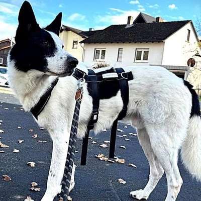 Suchmeldung-Solon-Bild