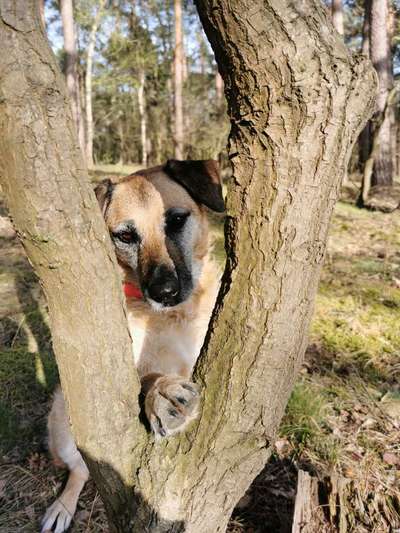 Foto Challenge Nr. 79-Beitrag-Bild