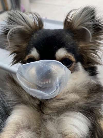 Lustige Grimassen & verrückte Posen-Beitrag-Bild