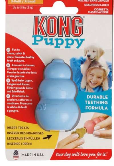 Kong puppy s-Beitrag-Bild