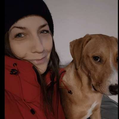 Hundetreffen-Junghunde Gassi treffen