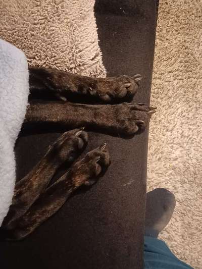 Blick fürs Detail!-Beitrag-Bild