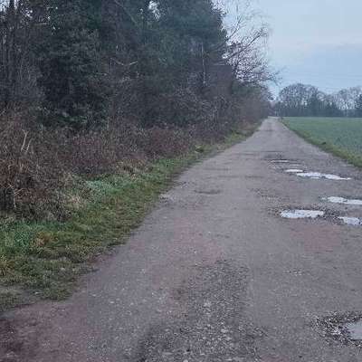 Giftköder-Evtl. Giftköder-Bild