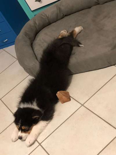 Die unbequemsten und lustigsten Schlafpositionen-Beitrag-Bild