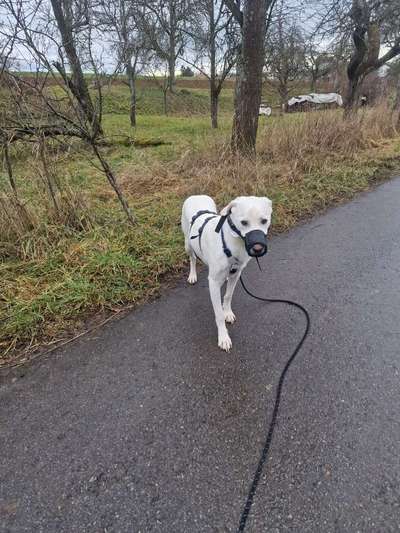 Camping Urlaub Kroatien-Beitrag-Bild