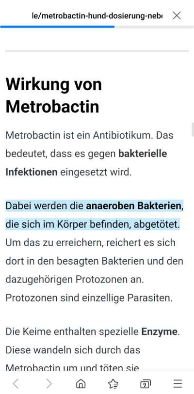 Max juckt das Fell-Beitrag-Bild