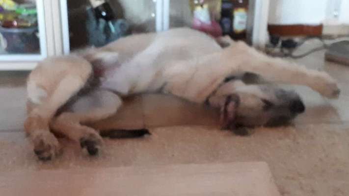 Die unbequemsten und lustigsten Schlafpositionen-Beitrag-Bild