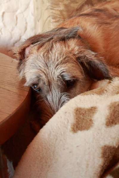 Fotochallenge No. 5-Beitrag-Bild