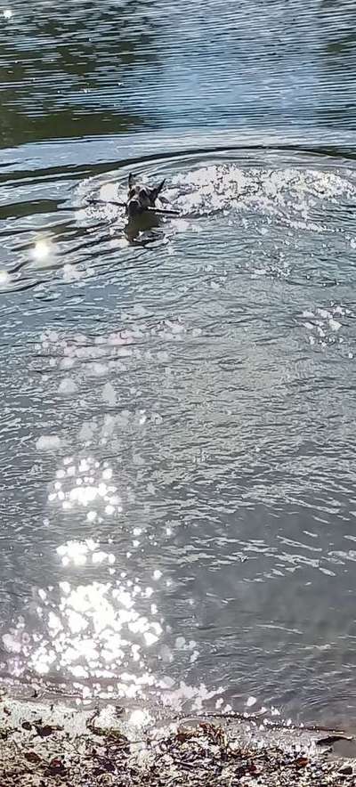 22. Handy Foto - Challenge-Beitrag-Bild