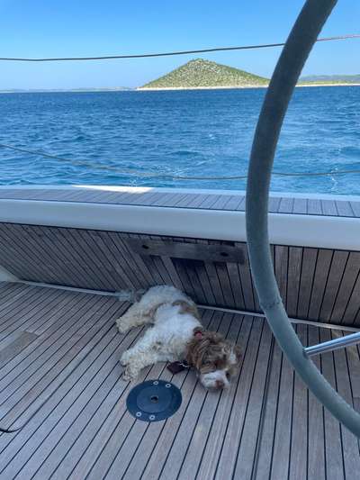 141. FOTO CHALLENGE 
Reisende soll man nicht aufhalten-Beitrag-Bild