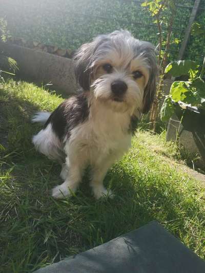 Fotochallange Nr. 57     PORTRÄT.   Beendet!!!!!!!!-Beitrag-Bild