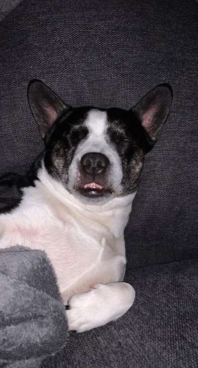 Die unbequemsten und lustigsten Schlafpositionen-Beitrag-Bild