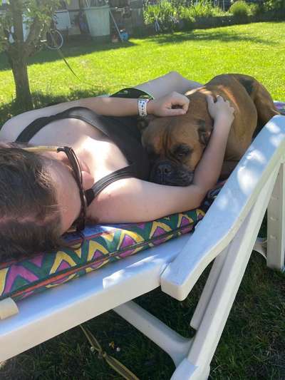 Du weißt, du hast einen Hund wenn...-Beitrag-Bild