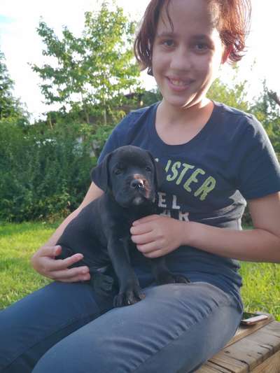 Welpen Bilder !-Beitrag-Bild