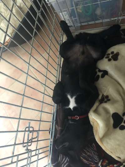 Die unbequemsten und lustigsten Schlafpositionen-Beitrag-Bild