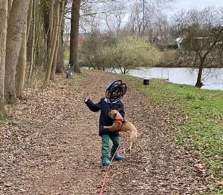 Fotochallenge Nr. 52 „Spring!“-Beitrag-Bild