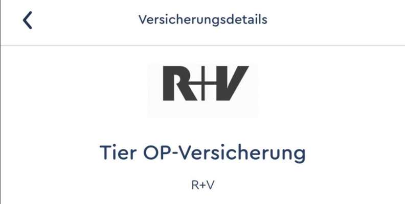 Op Versicherung-Beitrag-Bild