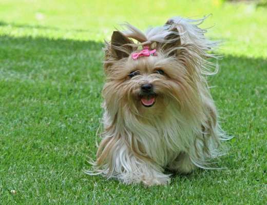 Lieblingsbild :D-Beitrag-Bild