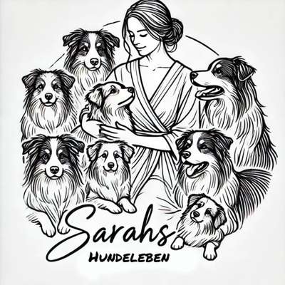 Hundetreffen-Gassi ,Labern, Freunde finden