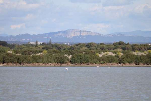TierschutzhundeStammtisch🐕-Beitrag-Bild