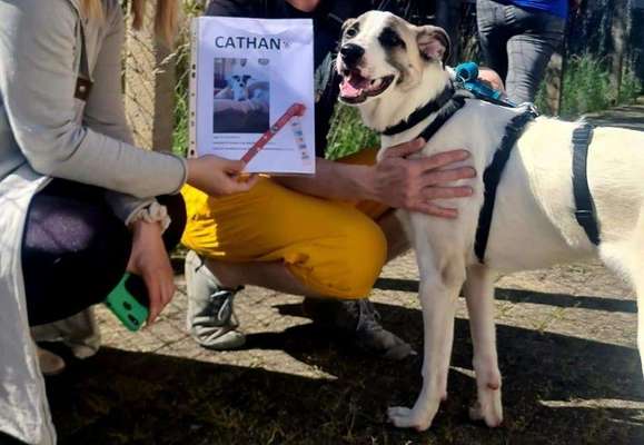 TierschutzhundeStammtisch🐕-Beitrag-Bild
