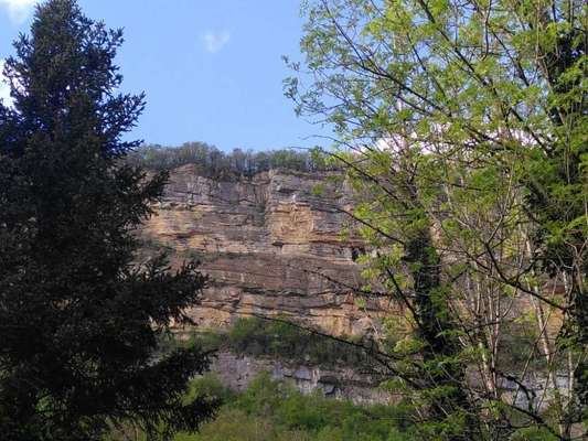 TierschutzhundeStammtisch🐕-Beitrag-Bild