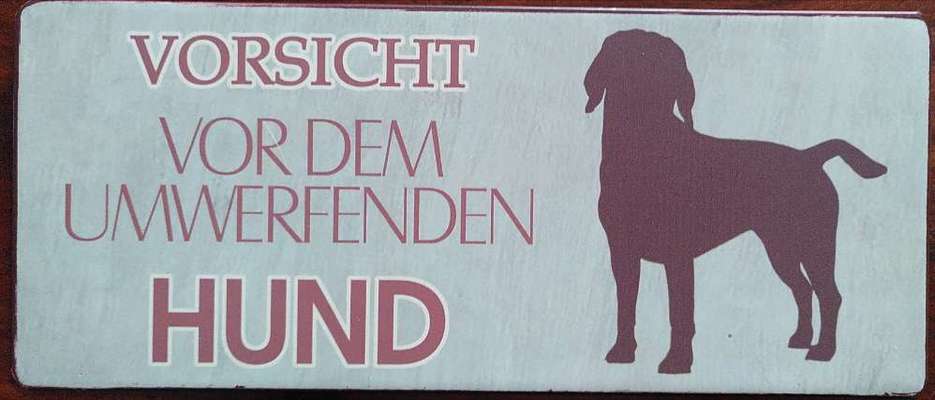 TierschutzhundeStammtisch🐕-Beitrag-Bild