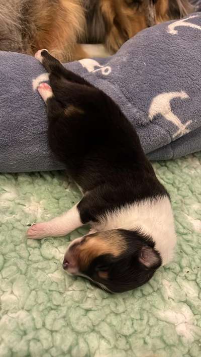 Hier ist der Spaßthread. Zum Schmunzeln und Kaputtlachen-Beitrag-Bild