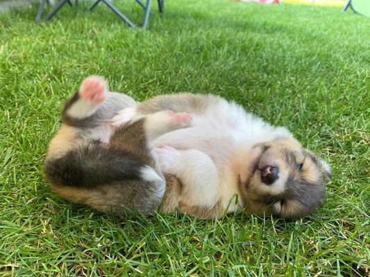 Sie werden so schnell erwachsen ...-Beitrag-Bild