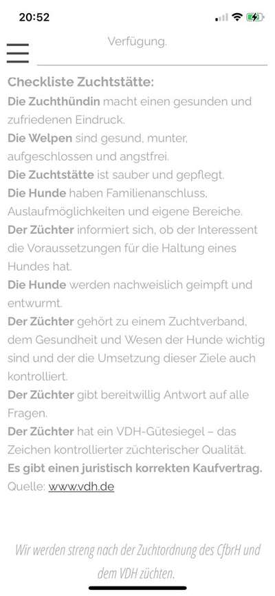 WICHTIGE Fragen an den Züchter-Beitrag-Bild