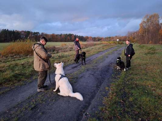 Giftköder-Lernspaziergang/Social Walk-Bild