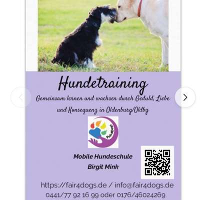 Giftköder-Hundetraining, Welpencoaching, Beratung-Bild