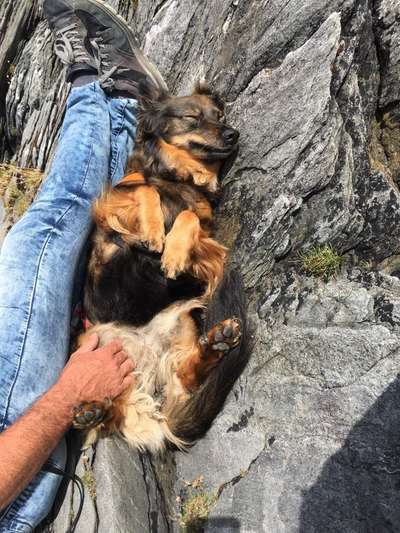 Die unbequemsten und lustigsten Schlafpositionen-Beitrag-Bild