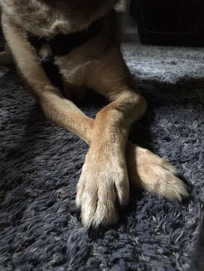 Lustige Bilder-Beitrag-Bild