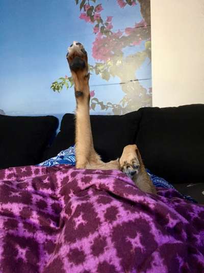 Die unbequemsten und lustigsten Schlafpositionen-Beitrag-Bild