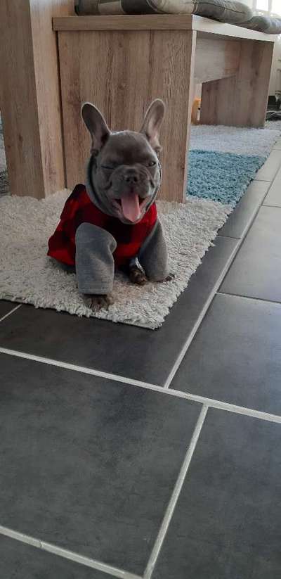 Lieblingsbild-Beitrag-Bild