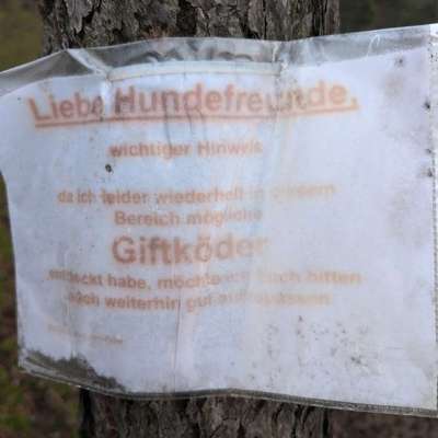 Giftköder-Giftköder Warnung-Bild