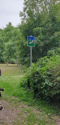 Hundeauslaufgebiet-Südpark - Alte Gladbacher Straße-Bild