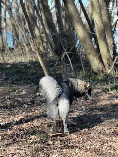 Fotowettbewerb Natur-Beitrag-Bild