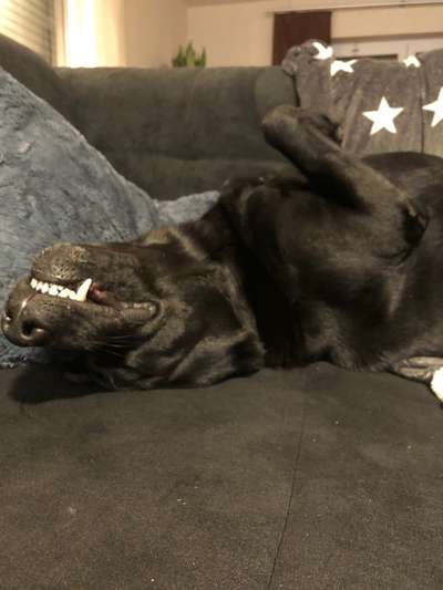 Die unbequemsten und lustigsten Schlafpositionen-Beitrag-Bild