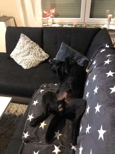 Die unbequemsten und lustigsten Schlafpositionen-Beitrag-Bild