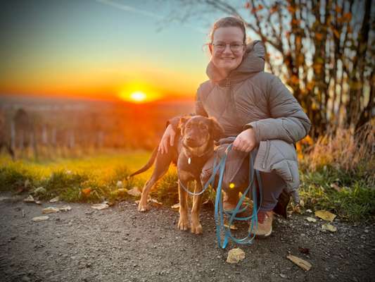 Schäferhund-Beitrag-Bild