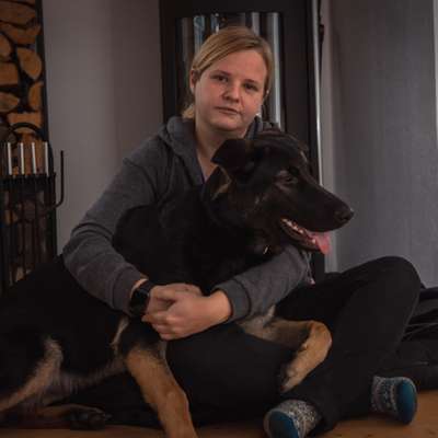 Hundetreffen-Spaziergänge/ Spielrunden-Profilbild