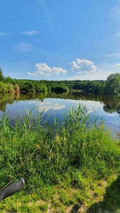 Hundeauslaufgebiet-Gleichen-Bild