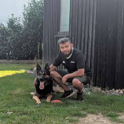 Hundetreffen-Begegnungstraining-Bild