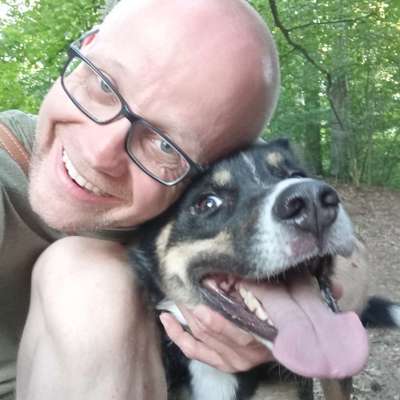 Hundetreffen-Hunderunde 🐕♻️ Fuchsturm-Profilbild